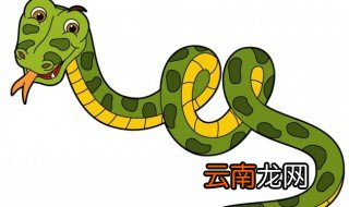 端午节对蛇有什么影响 为什么蛇怕端午节