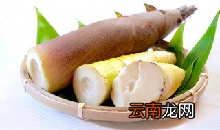 挖春笋怎么保鲜，挖的春笋怎么保存