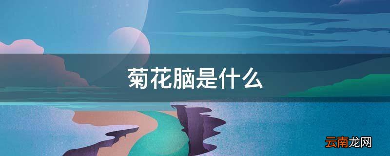 菊花脑是什么