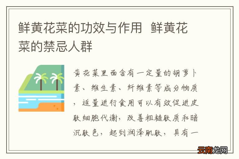鲜黄花菜的功效与作用鲜黄花菜的禁忌人群