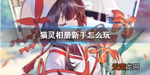 猫灵相册新手怎么玩 猫灵相册新手玩法攻略