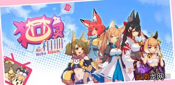 猫灵相册测试服去哪下载猫灵相册测试服下载地址