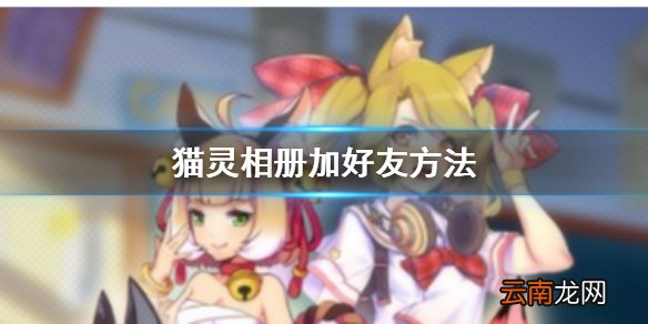 猫灵相册怎么加好友 猫灵相册加好友方法