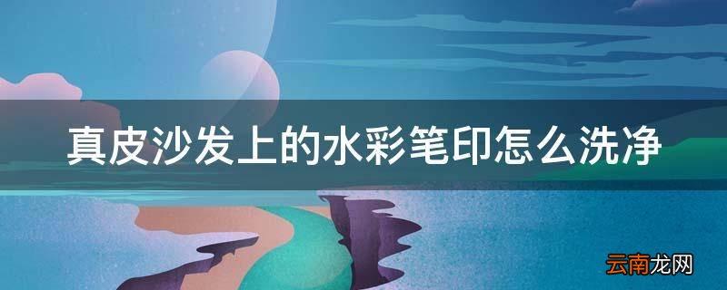 真皮沙发上的水彩笔印怎么洗净