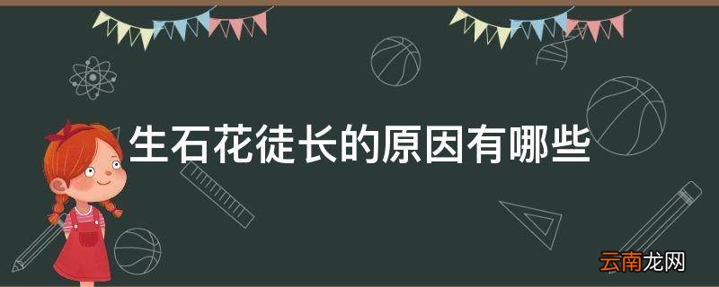 生石花徒长的原因有哪些