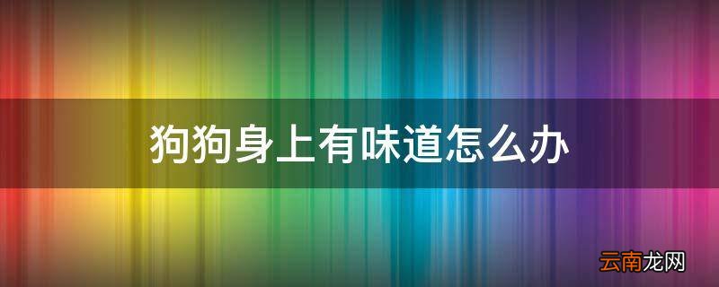 狗狗身上有味道怎么办