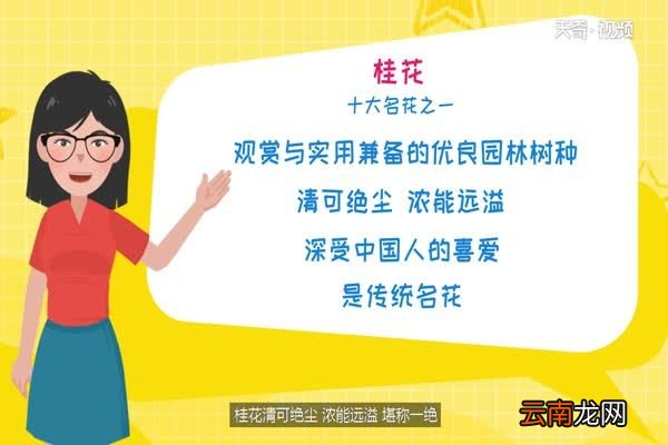 九月开什么花 九月开的花有哪些