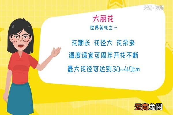 九月开什么花 九月开的花有哪些