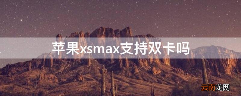 iphonexsmax是双卡双待吗 iPhonexsmax支持双卡吗