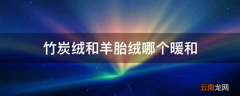 竹炭绒和羊胎绒哪个暖和
