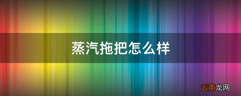 蒸汽拖把怎么样