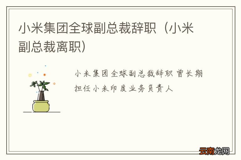 小米副总裁离职 小米集团全球副总裁辞职