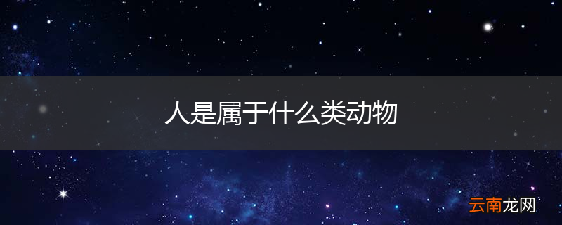 人是属于什么类动物