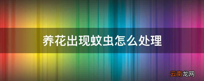 养花出现蚊虫怎么处理