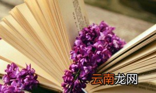 有关雪成语故事 与雪的成语故事