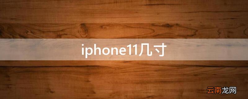 iphone11几寸大 iPhone11几寸