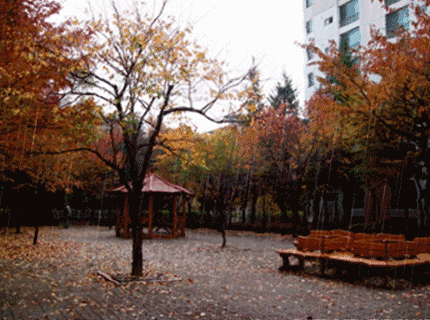 秋雨无痕，太美了！！