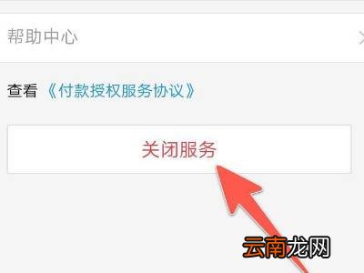 怎么在支付宝取消自动续费
