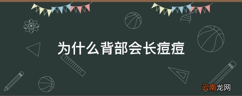 为什么背部会长痘痘