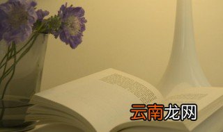 韦编三绝的历史成语故事 韦编三绝的含义