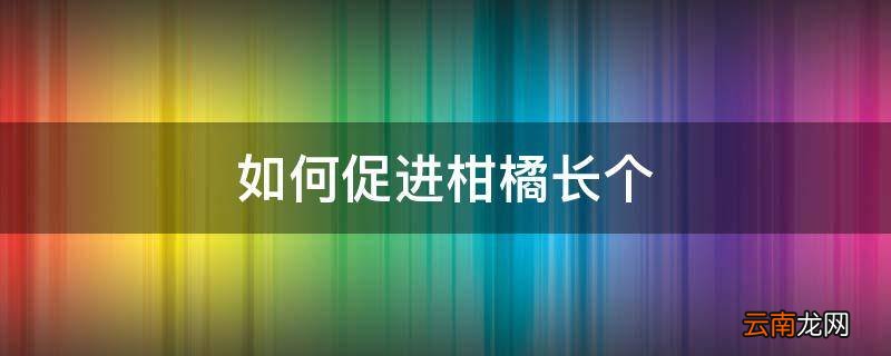 如何促进柑橘长个