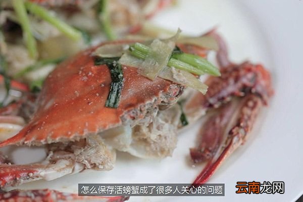 活螃蟹怎么保存 活螃蟹该怎么保存