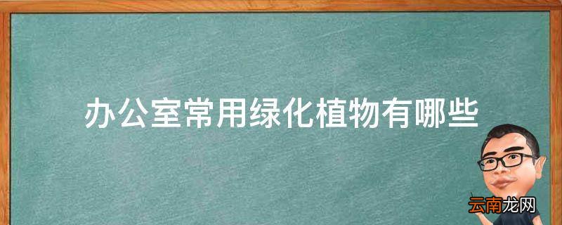 办公室常用绿化植物有哪些