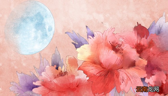 结婚证上的花是什么花 结婚证上的花叫什么花