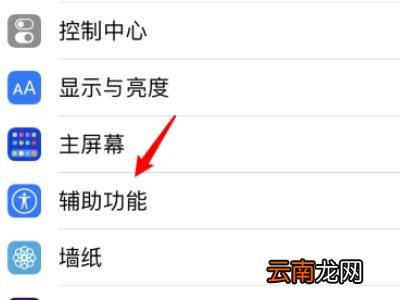 苹果手机敲后背怎么设置