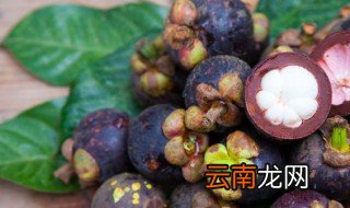 山竹不放冰箱能放几天 山竹不放冰箱可以放几天