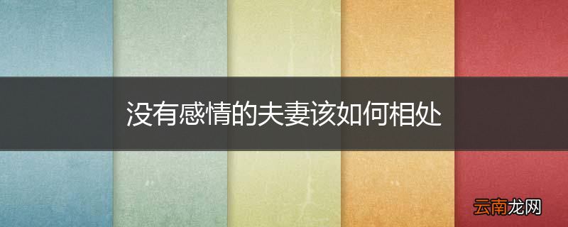 没有感情的夫妻该如何相处