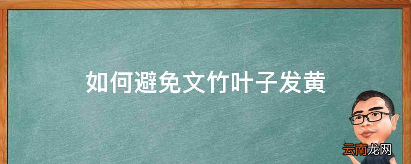 如何避免文竹叶子发黄