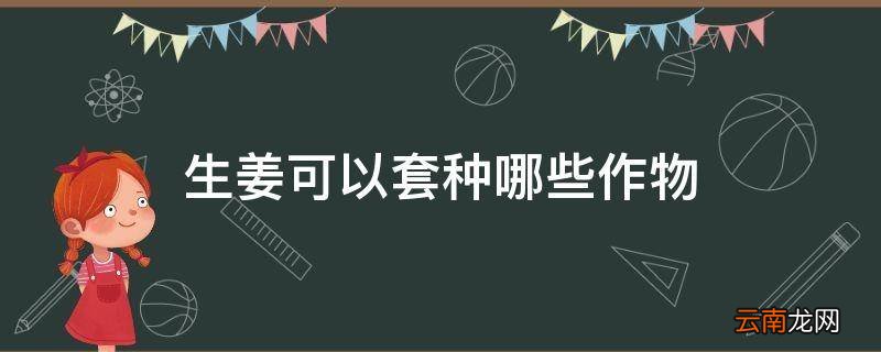 生姜可以套种哪些作物