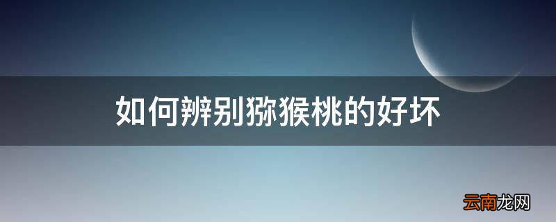 如何辨别猕猴桃的好坏