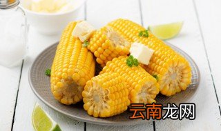 玉米不放冰箱能放几天 夏天玉米不放冰箱能放几天
