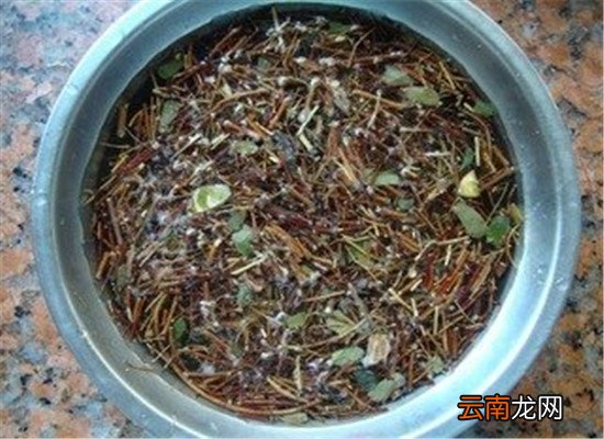 鸡骨草的吃法 清热解毒缓解疲劳