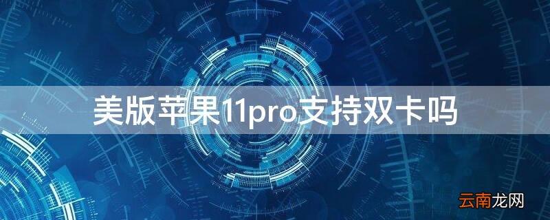 iphone11pro美版有双卡吗 美版iPhone11pro支持双卡吗