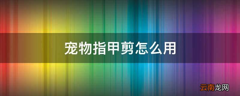 宠物指甲剪怎么用