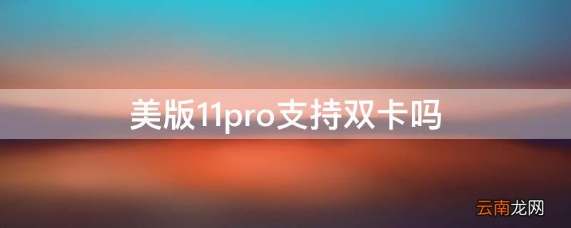 iphone13pro支持双卡吗 美版11pro支持双卡吗