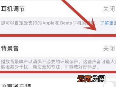 苹果13怎么消除回音
