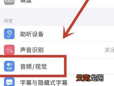 苹果13怎么消除回音