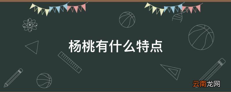 杨桃有什么特点