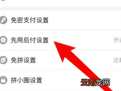 拼多多怎么解除先用后付设置