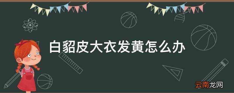 白貂皮大衣发黄怎么办