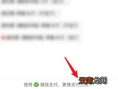 拼多多怎么用pay支付