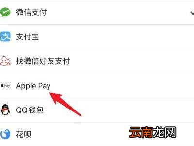 拼多多怎么用pay支付