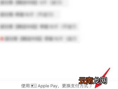 拼多多怎么用pay支付