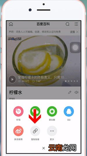 简单搜索中查看网址具体操作流程