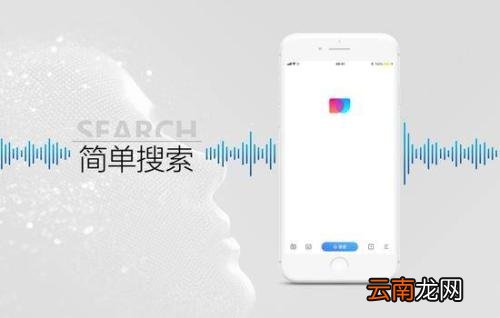 简单搜索中查看网址具体操作流程