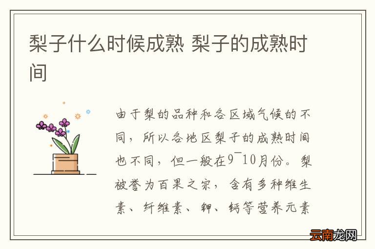 梨子什么时候成熟 梨子的成熟时间